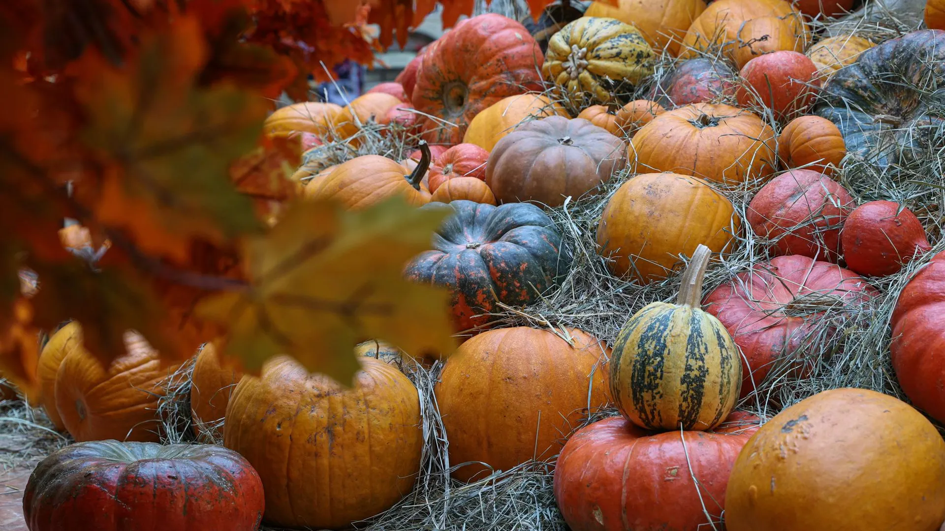 Bulkin Sergey/news.ru