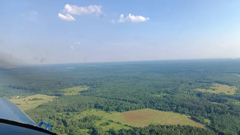Фото: Комитет лесного хозяйства хозяйства Московской области