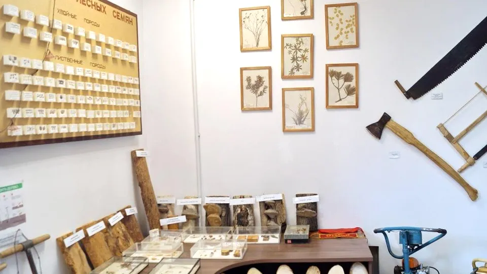 Фото: Комитет лесного хозяйства МО