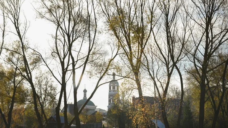 Фото: Ольга Антонова