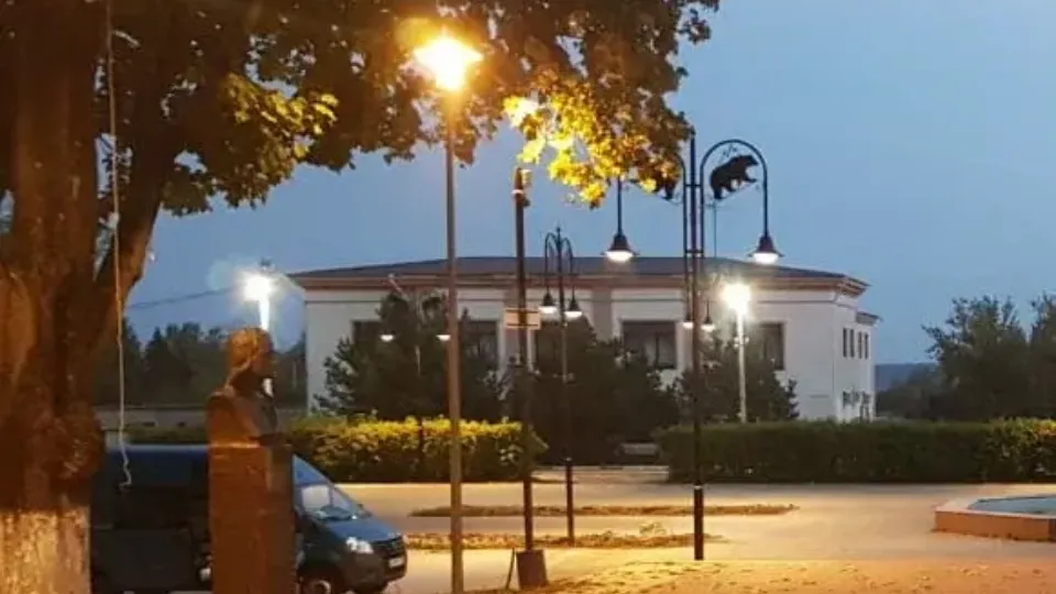 Фото: министерство благоустройства Московской области