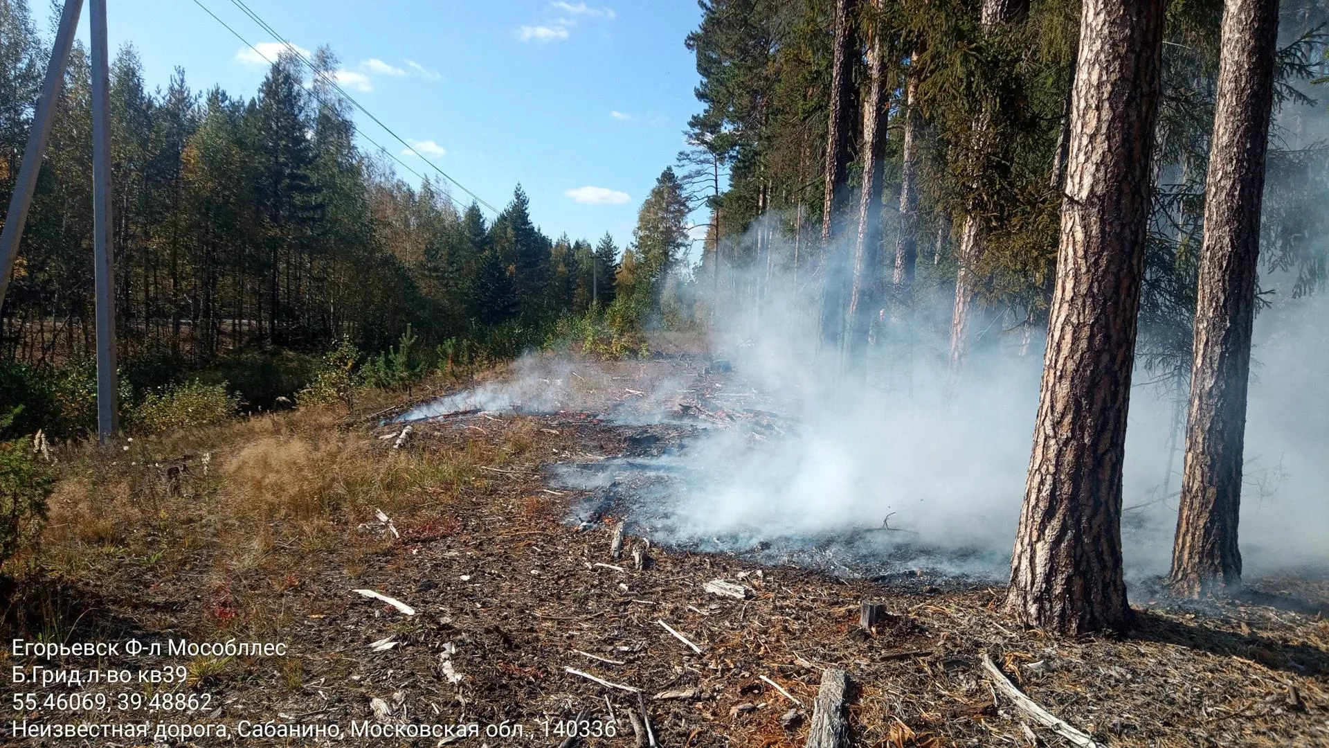 Комитет лесного хозяйства Московской области