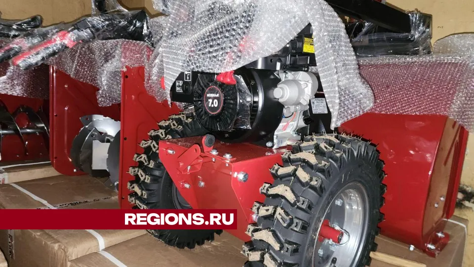 Фото: Яна Шаливская