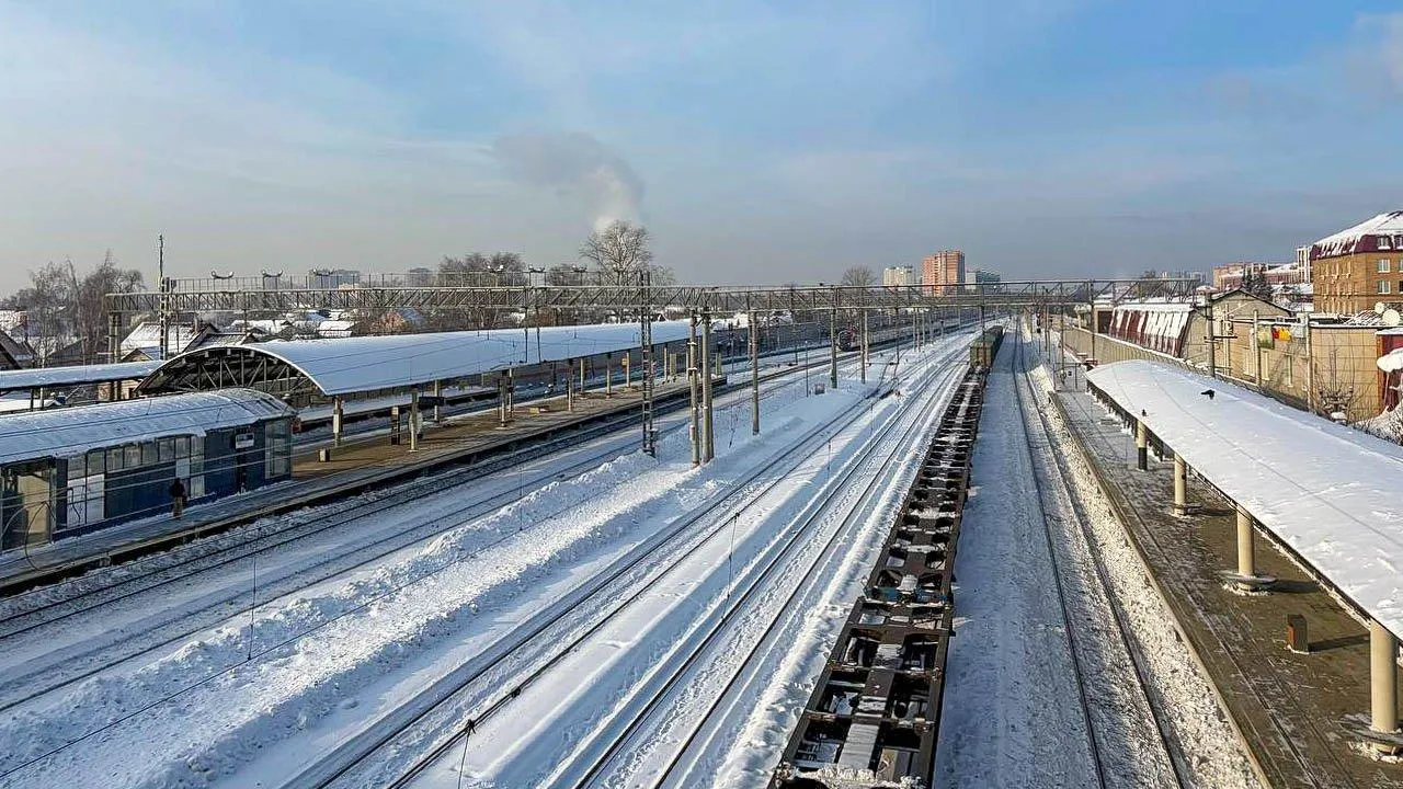 REGIONS/София Малышенко