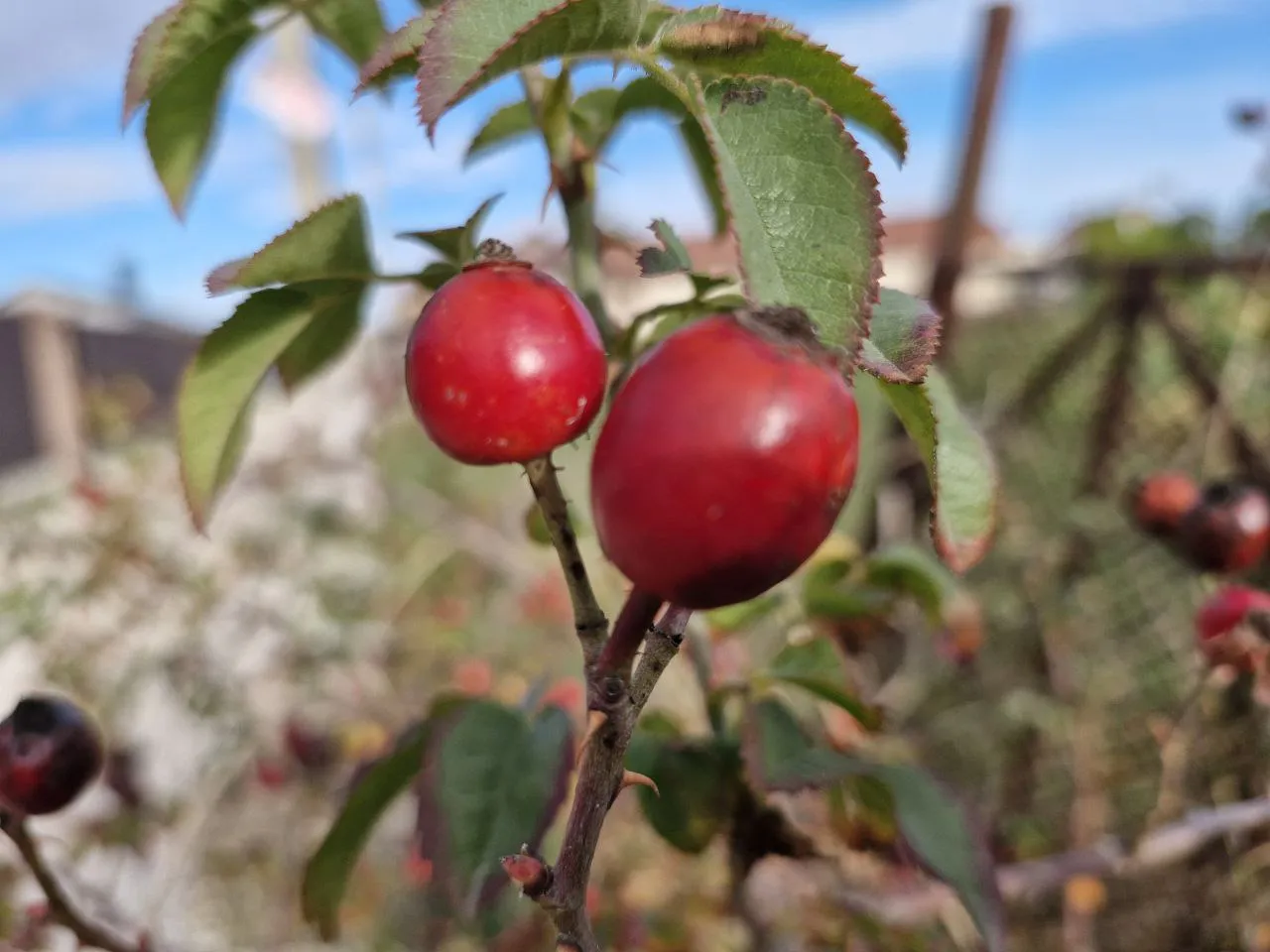 Фото: REGIONS/Наталия Надточая