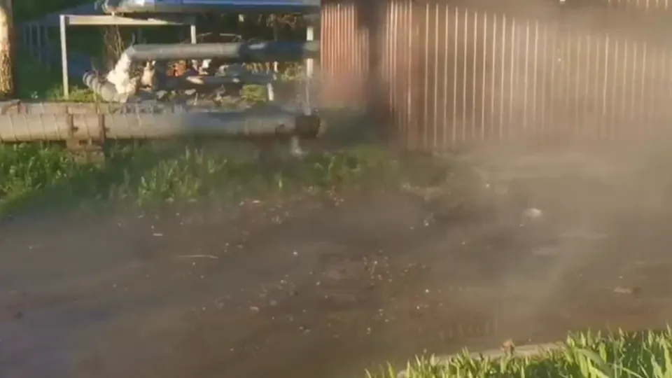 Фото: t.me/real_solnechnogorsk