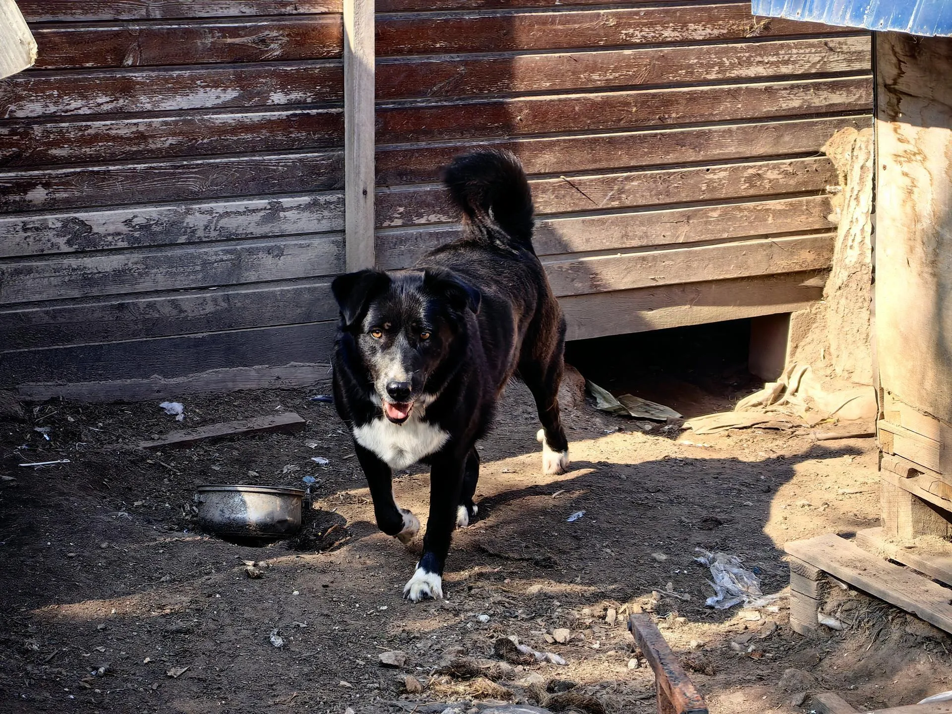 Елена Катасонова