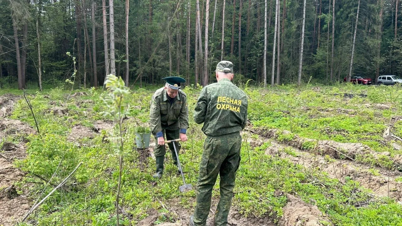 Пресс-служба администрации Одинцовского г. о.
