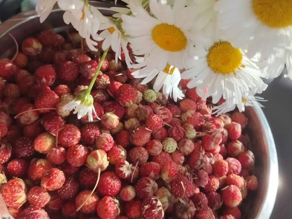 Фото: личный архив Алена Алтунбаева&nbsp;