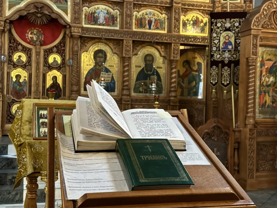 Фото: Полина Абраменко