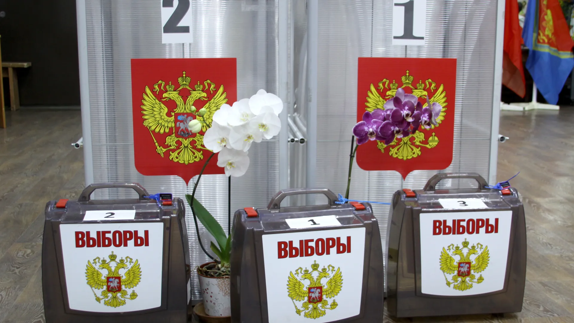 Фото: Наталья Верхотурова