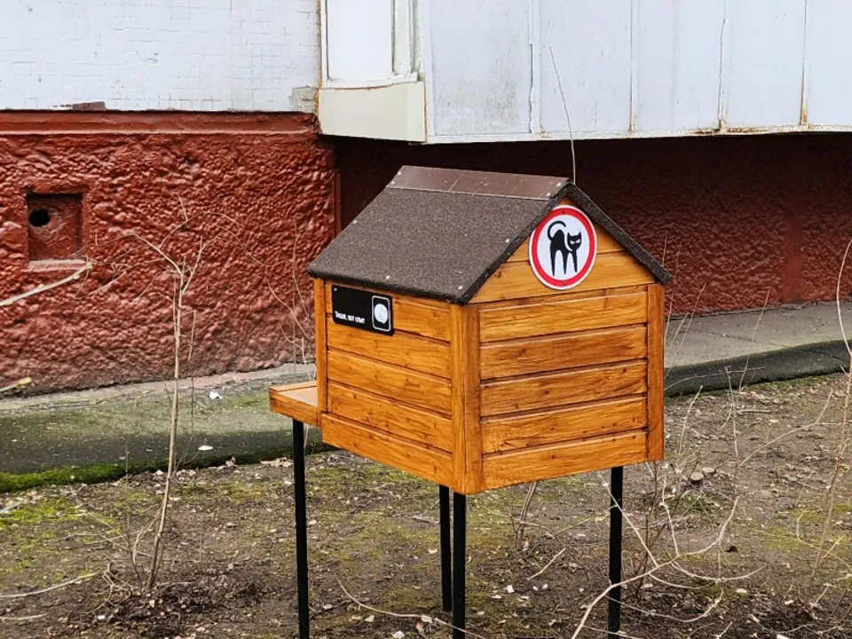 Фото: Максим Сафронов