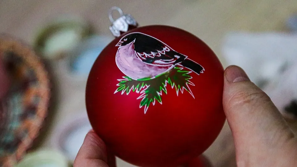 Фото: пресс-служба администрации г.о. Лыткарино