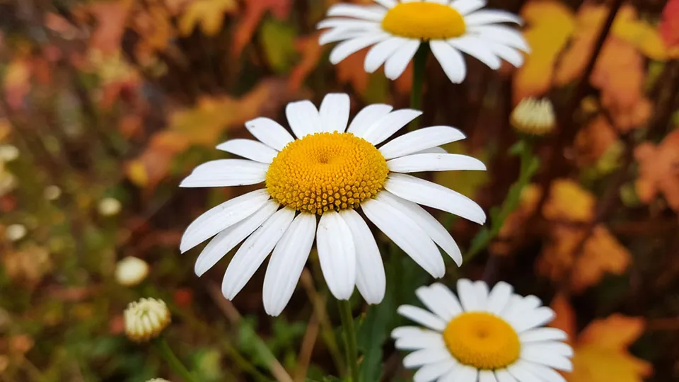 Фото: REGIONS/Сгенерировано нейросетью