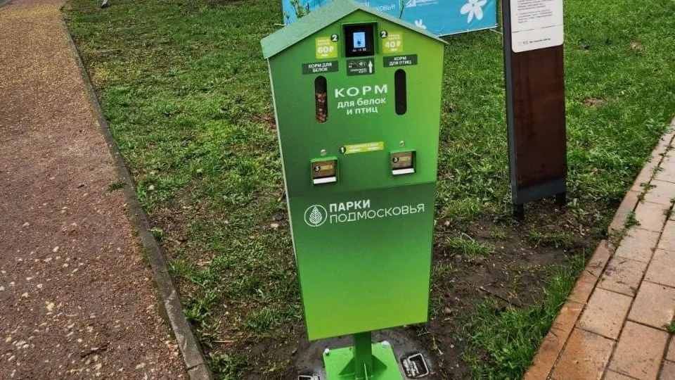 Фото: администрация городского округа Люберцы