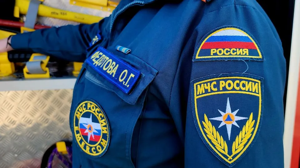 Фото: МедиаБанк Подмосковья/Александр Степушкин