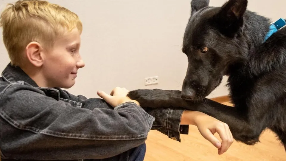 Фото: пресс-служба Администрации г.о. Лобня