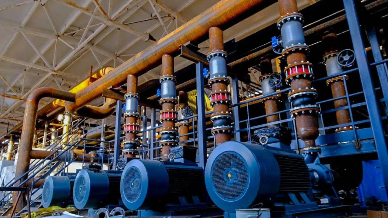 пресс-служба губернатора и правительства Московской области/Александра Степанова