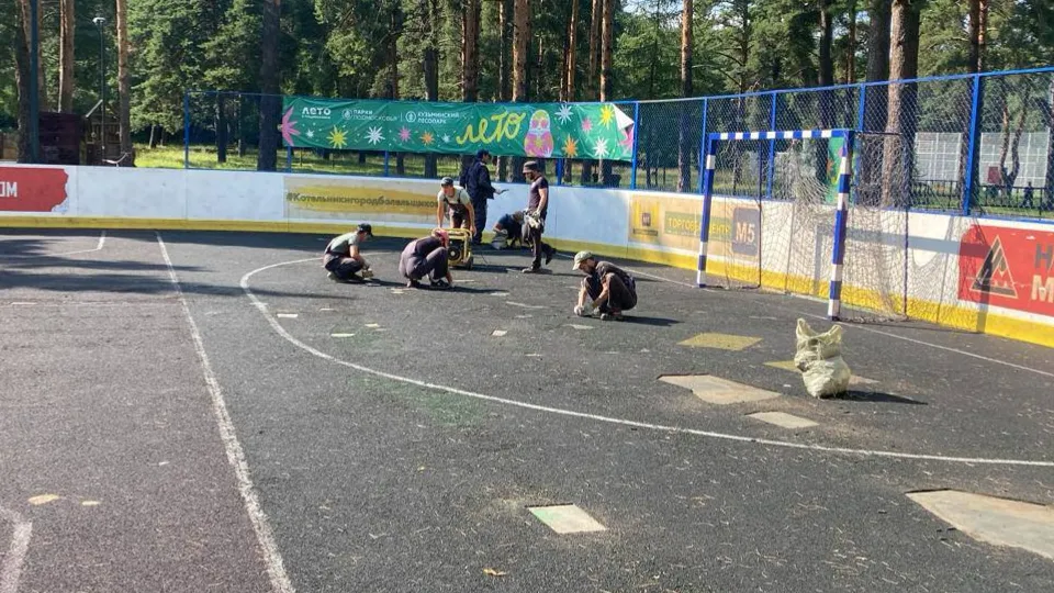 Фото: Кузьминский лесопарк