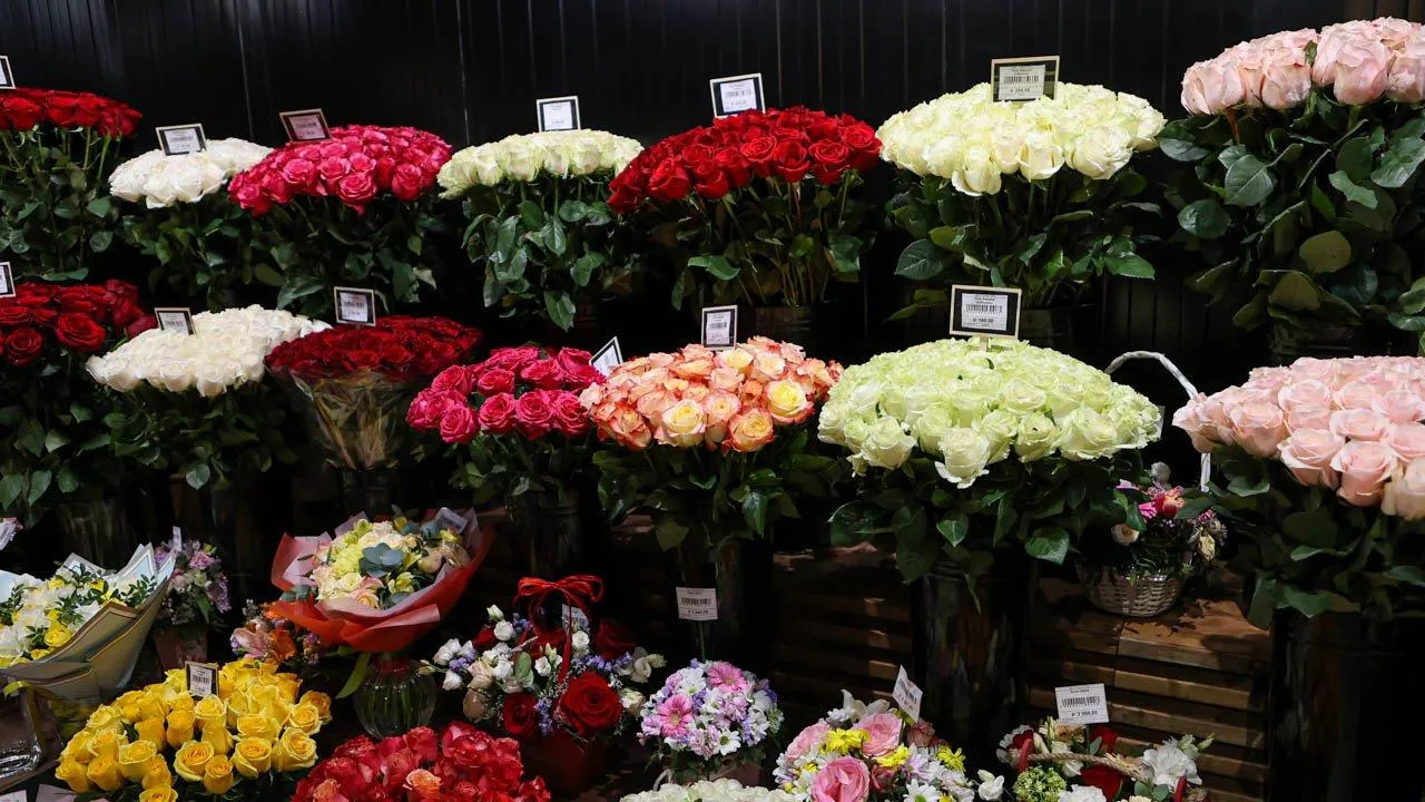 REGIONS/Роман Малышенко