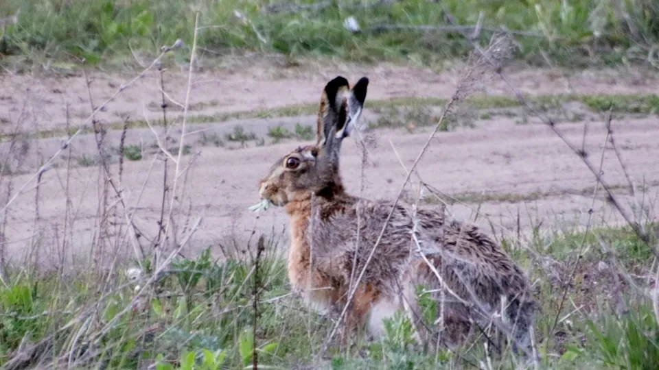 Фото: Ольга Калинина