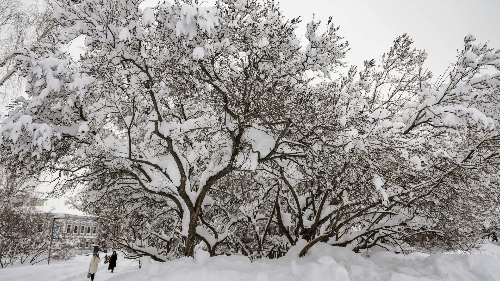 Andrey Titov/Business Online