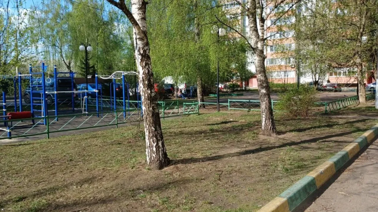 Картинка