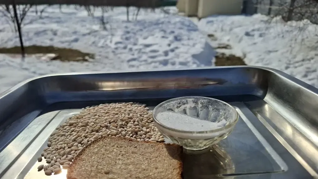 REGIONS/Юлия Габбасова