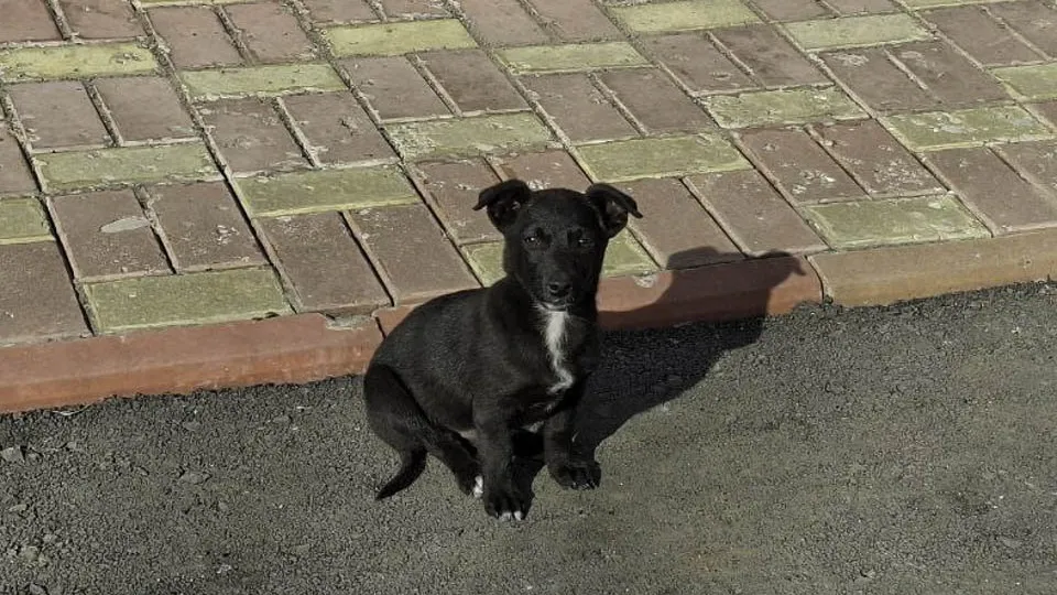 Фото: REGIONS/Юлия Габбасова