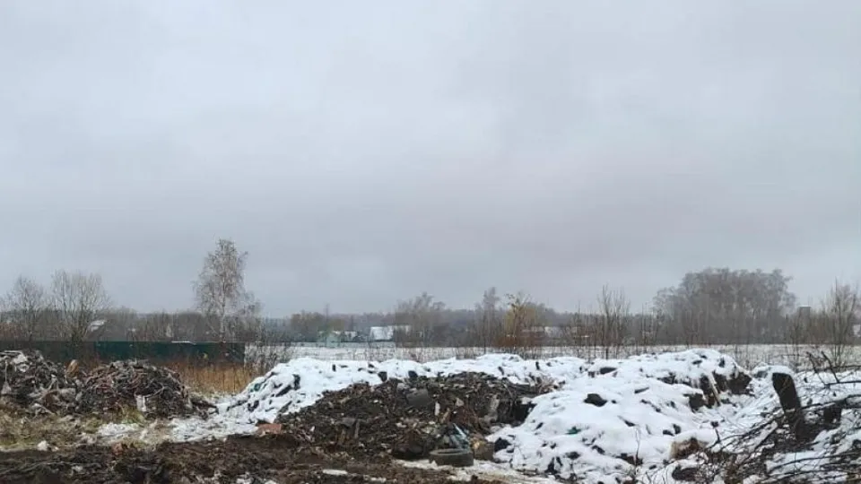 Фото: Министерство экологии и природопользования Московской области
