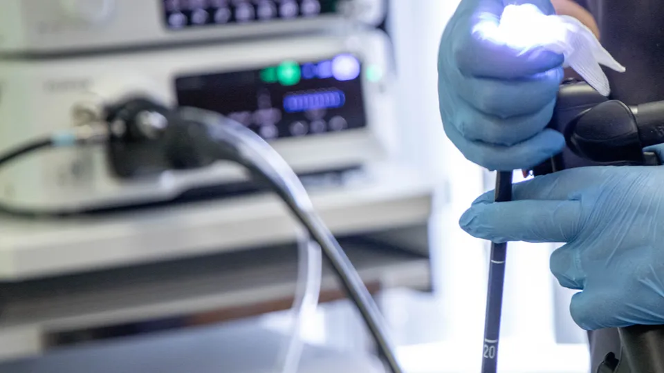 Фото: REGIONS/Наталия Надточая