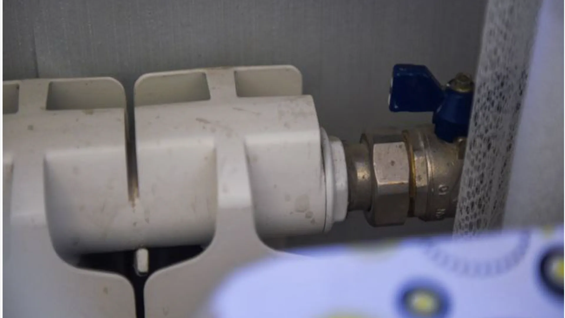 Фото: медиасток.рф