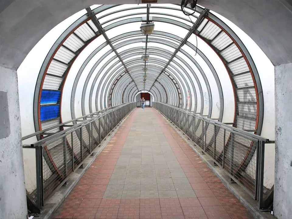 Фото: пресс-служба администрации г.о. Долгопрудный