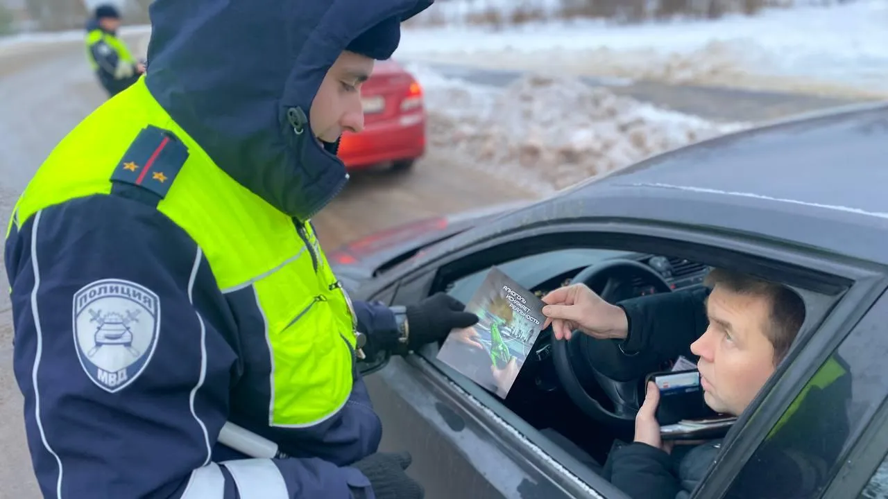 Источник: пресс-служба ГИБДД Павловского Посада