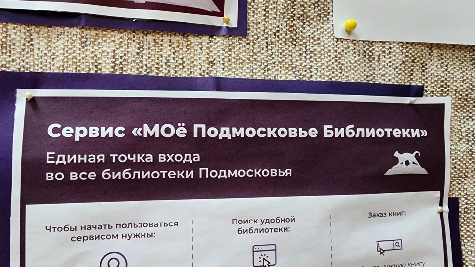 Фото: МедиаБанк Подмосковья/Андрюхина Мария