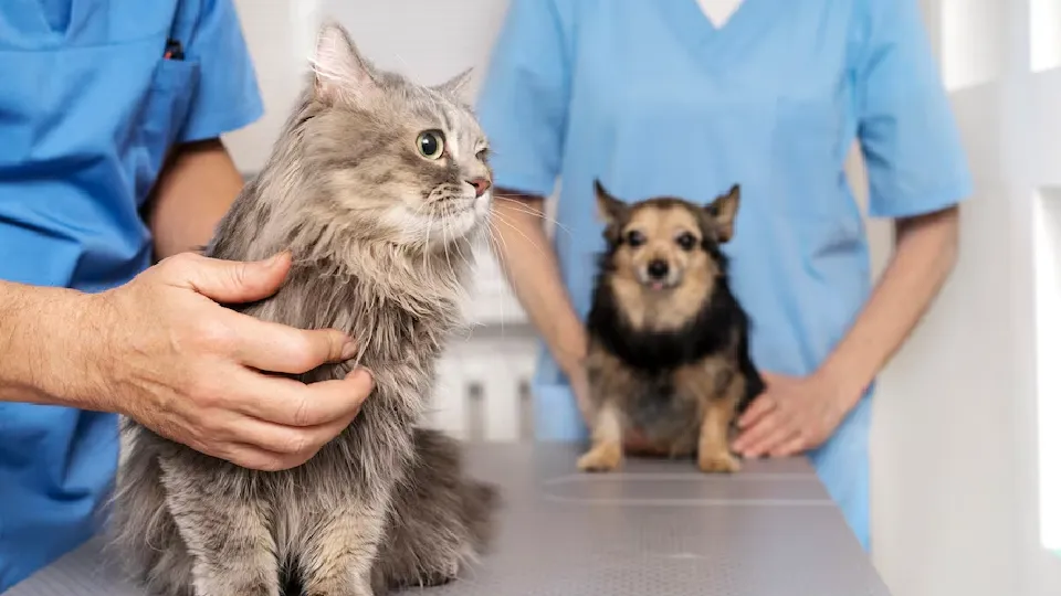 Фото: freepik.com