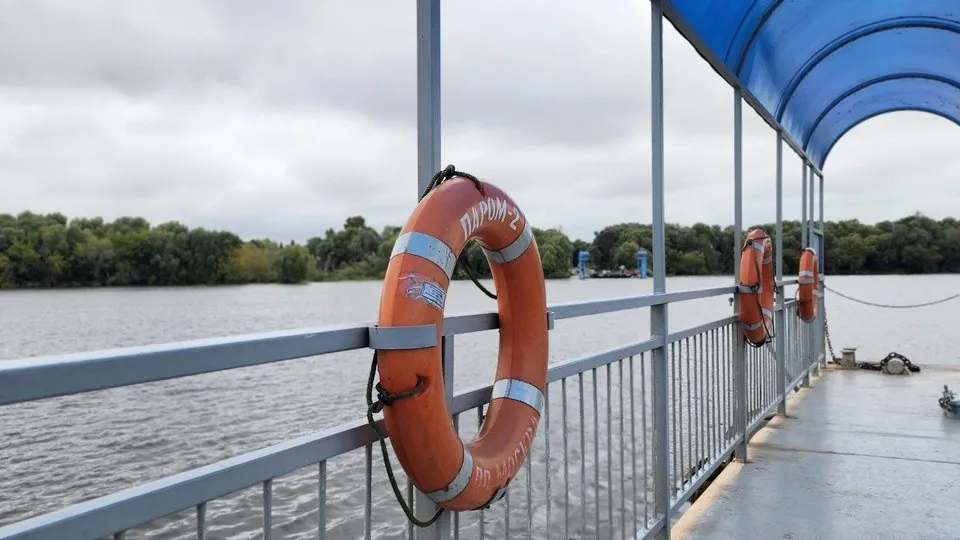 Фото: пресс-служба администрации м.о. Луховицы