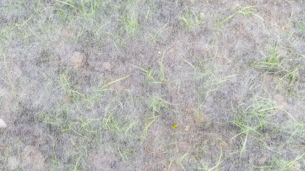 istockphoto.com/KrimKate