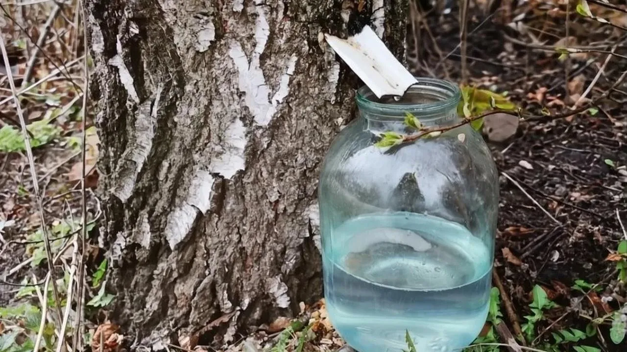 городская доска объявлений