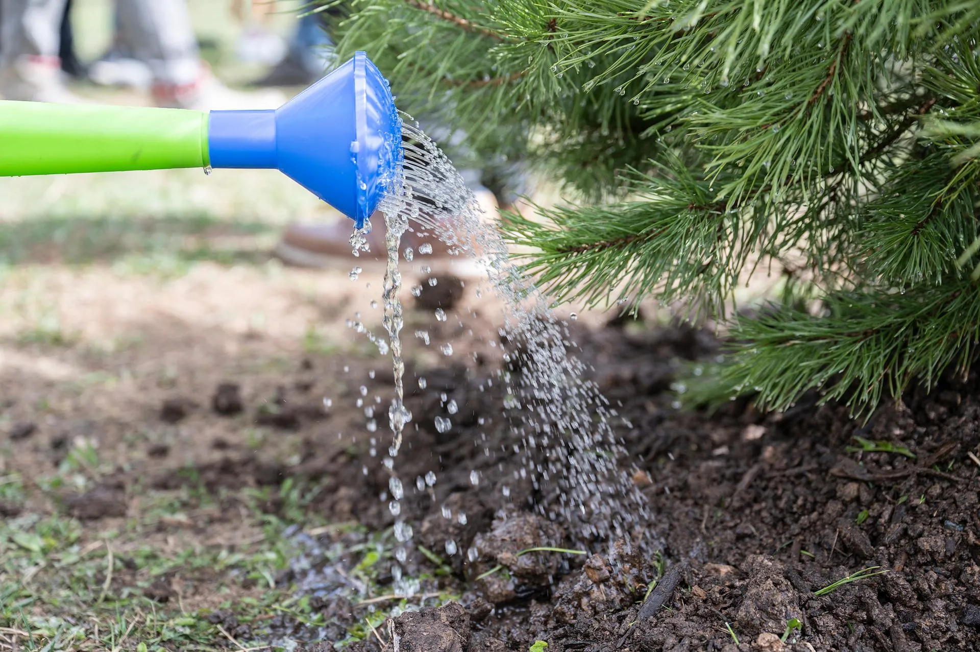 Фото: пресс-служба администрации Ленинского городского округа