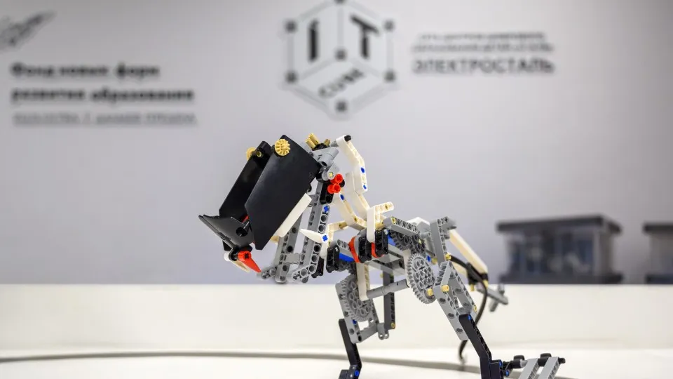 Фото: медиасток.рф