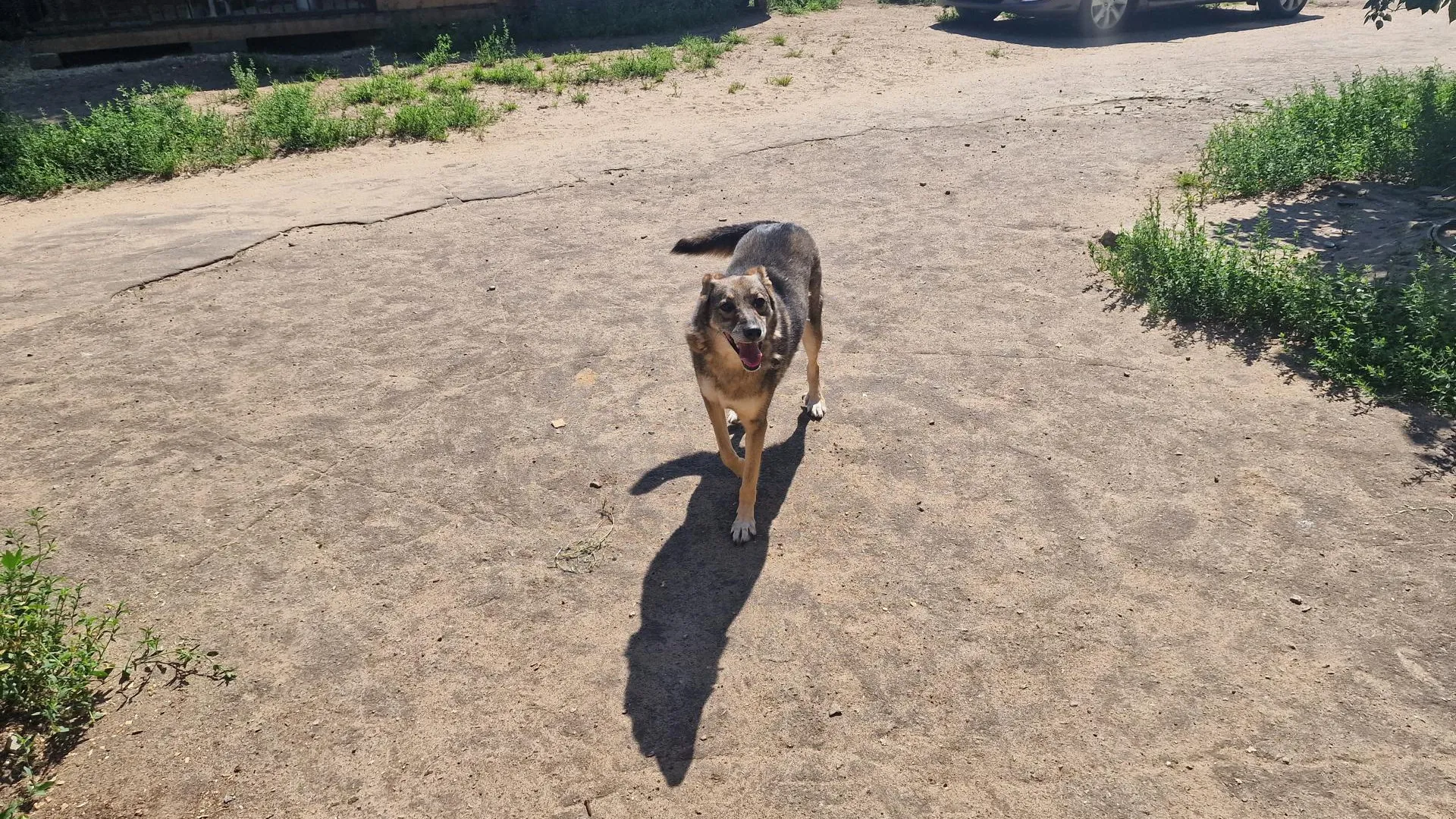 Фото: Анастасия Игнатова