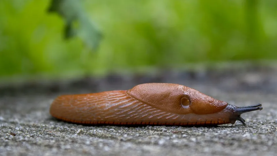 Фото: unsplash.com