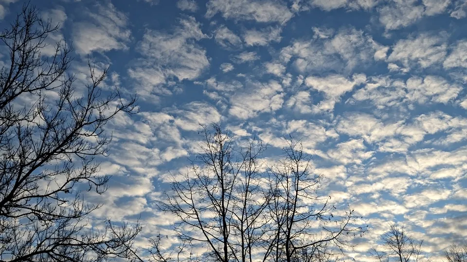 Фото: REGIONS/Алексей Селиверстов