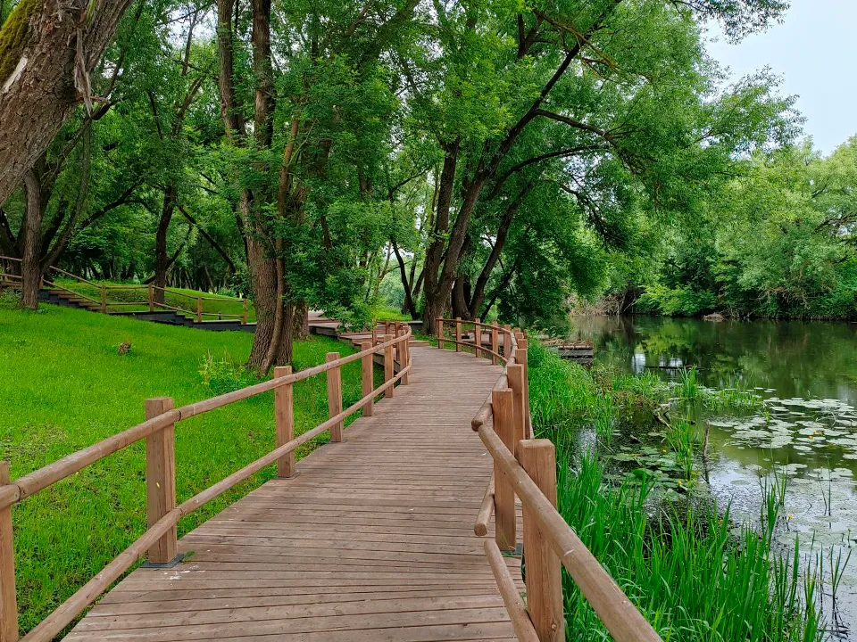 Фото: REGIONS/Евгений Мазепов