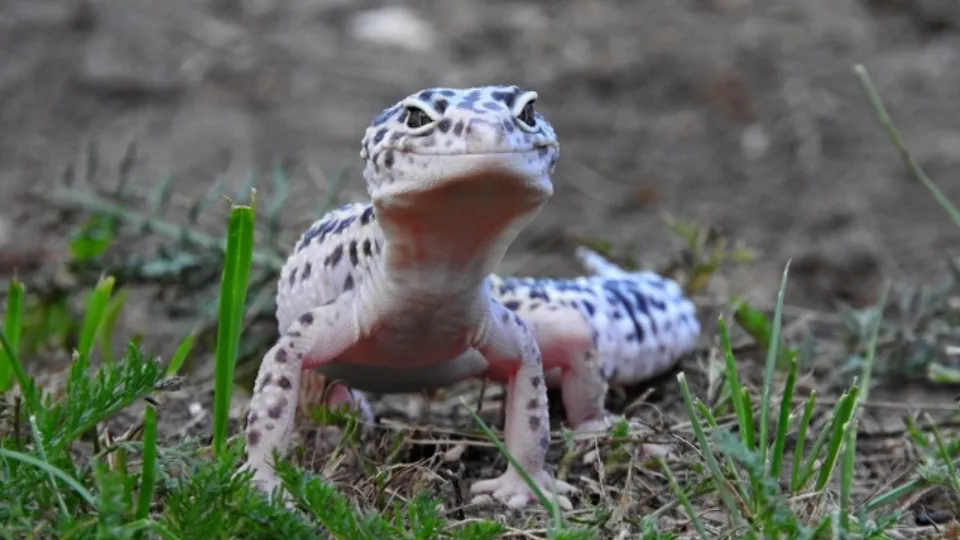 Фото: Ирина Столярова