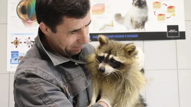 Фото: пресс-служба Минсельхозпрод МО