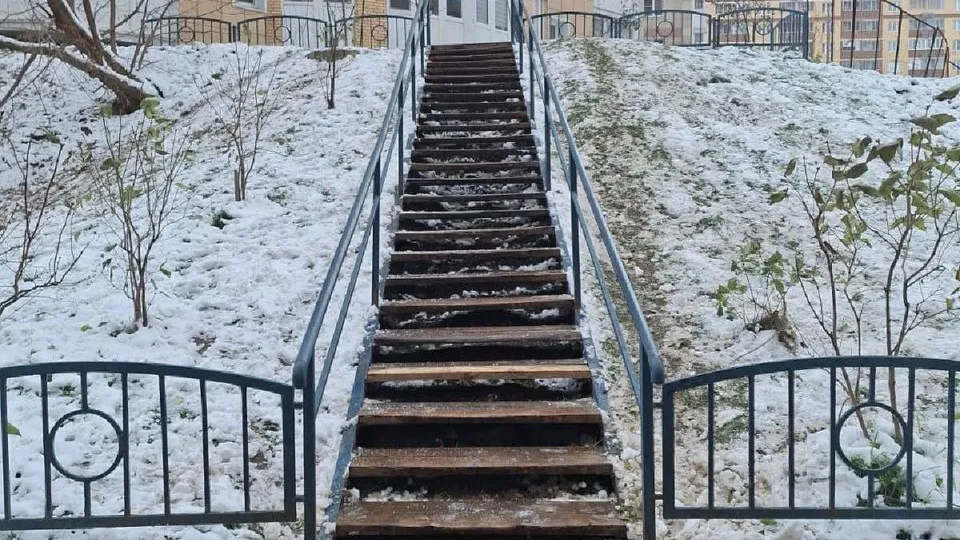 Фото: администрация Одинцовского городского округа