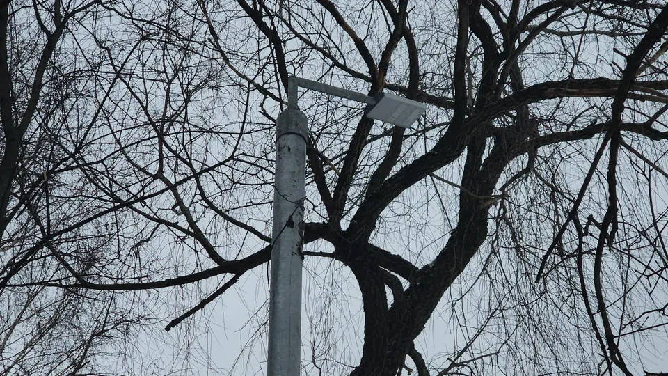 Фото: МедиаБанк Подмосковья/Ольга Шеметова