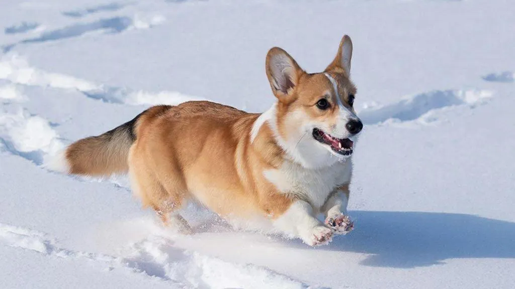 REGIONS/Сгенерировано нейросетью